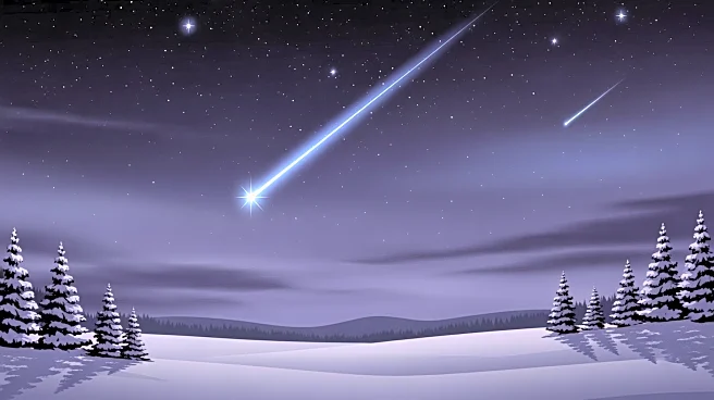 Ursids Meteor Shower to Illuminate U.S. Skies During Winter Solstice