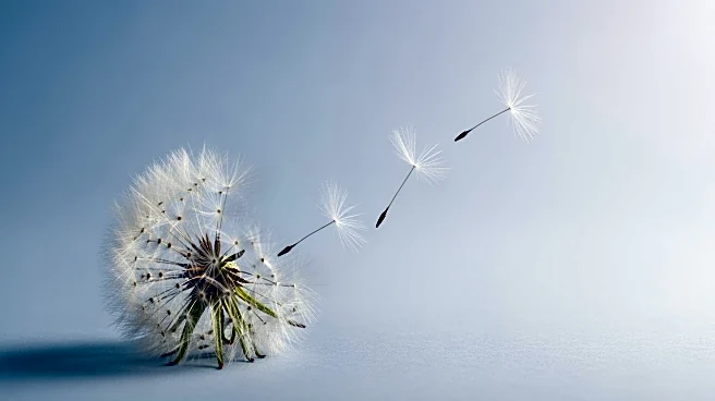 Grace Kelly Childhood Cancer Trust Launches Campaign to Raise Awareness of Early Cancer Signs in Children