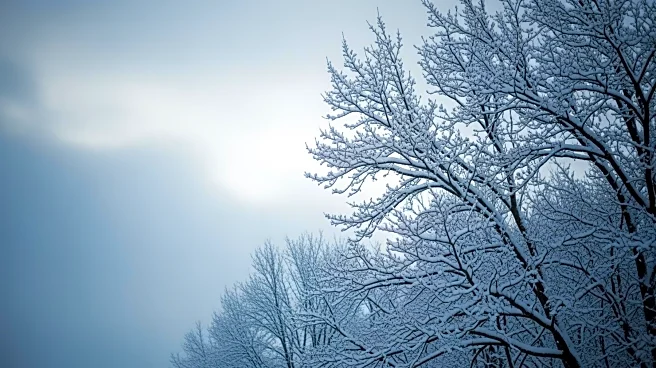 Weather Update: WBZ Midday Forecast for December 21