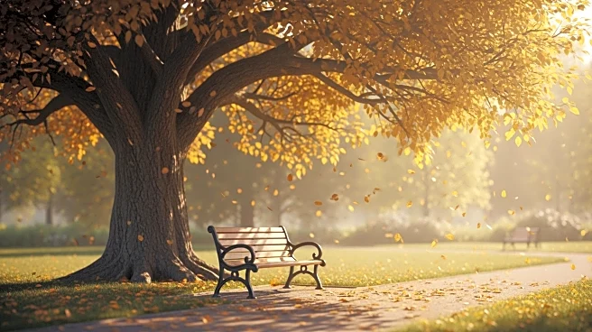 Philanthropist Paul Sadlon Remembered for Contributions to Barrie Community