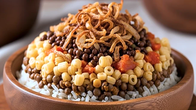 UNESCO Recognizes Koshary as Egypt's Intangible Cultural Heritage