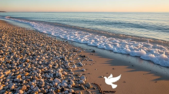 Australian Prime Minister Apologizes to Jewish Community Following Bondi Beach Terror Attack