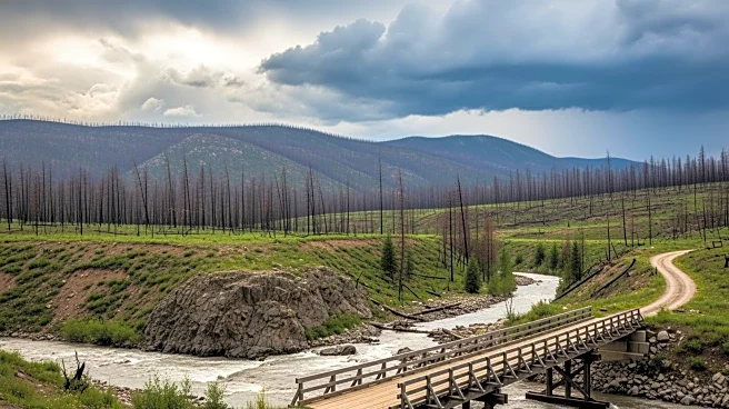 President Trump Denies Colorado's Disaster Declaration Request Amid Wildfire and Flood Recovery Efforts