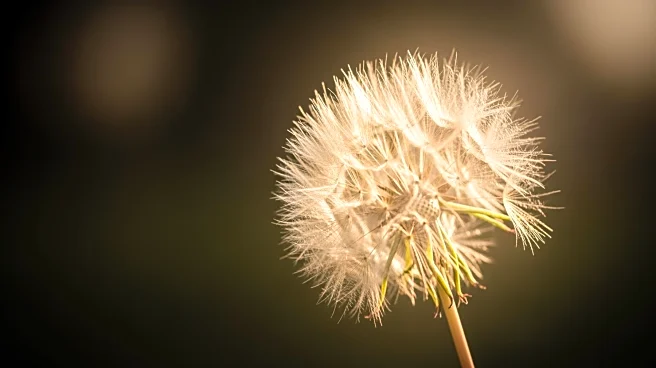 Campaign Urges Parents to Trust Instincts on Childhood Cancer Signs