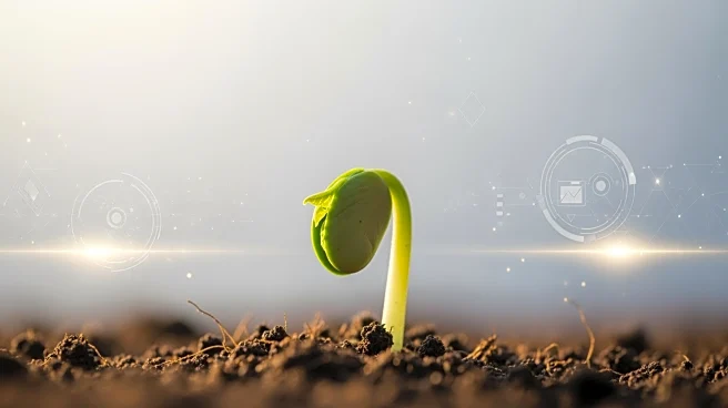 Springwise Podcast Highlights Climate Innovation and Future Trends for 2026