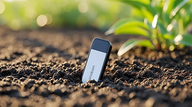 CUJ Professor Patents Low-Cost Soil Moisture Monitor for Smart Agriculture