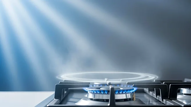 Federal Judge Blocks Law Requiring Air Quality Information on Gas Stoves