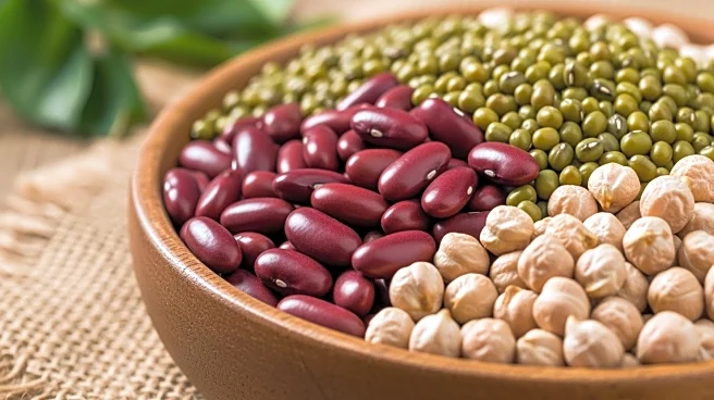 Indonesia's Legume Heritage Promotes Sustainable Agriculture and Culinary Traditions