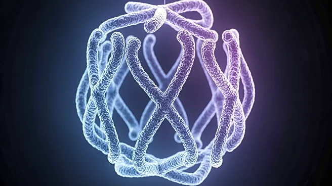 Scientists Map Over 140,000 DNA Loops to Understand Human Chromosome Organization