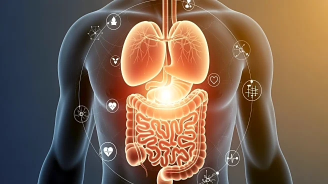 Gastroenterologists Highlight Symptoms of Unhealthy Gut and Its Systemic Impact