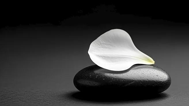 Former Senator Ben Sasse Announces Stage 4 Pancreatic Cancer Diagnosis