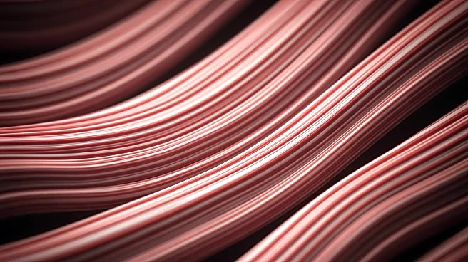Stripe Patterns in Blood Cells Offer New Diagnostic Insights