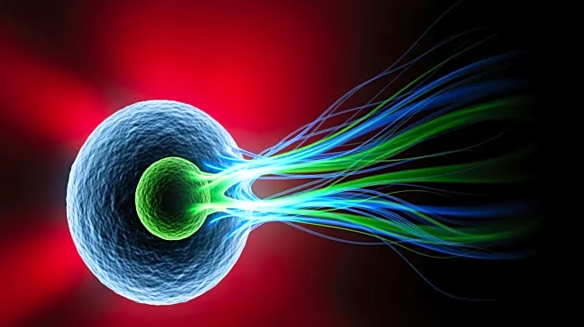 Research Identifies Immune Cell Energy Shortages as Key Factor in Atherosclerosis Progression