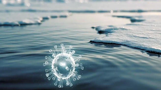 Deadly Virus Detected in Arctic Waters, Raising Concerns for Marine Life
