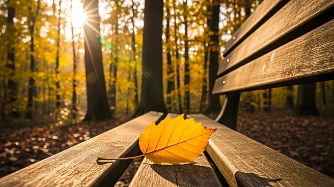 Bright Leaf Supports Grandparents Raising Grandkids in Colorado