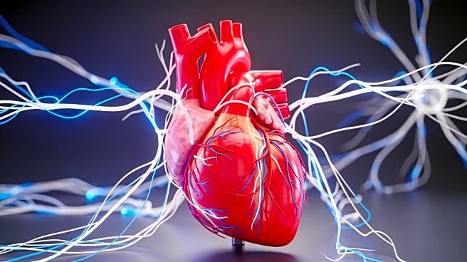 Exercise Reprograms Heart Nerves, Offering New Treatment Insights