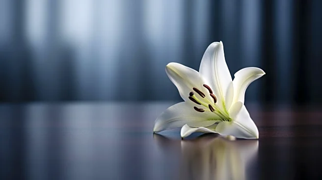 Former U.S. Senator Ben Sasse Announces Terminal Stage-Four Cancer Diagnosis