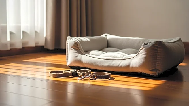 Dog Abandoned with 'Free' Sign Finds New Home in Bahrain