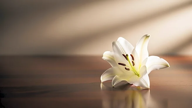 Joseph Michael Beal Passes Away at 61 After Battle with Cancer