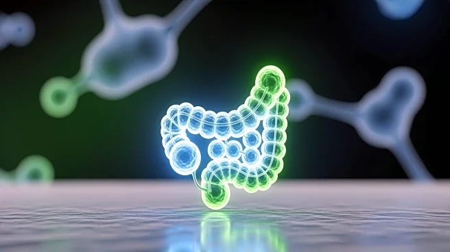 Gut Bacteria Molecule Shows Promise in Reducing Type 2 Diabetes Risk