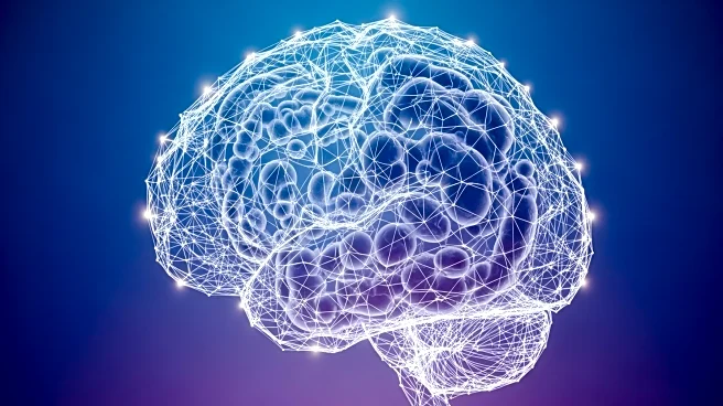 Study Links Gut Bacteria to Bipolar Depression by Affecting Brain Connectivity