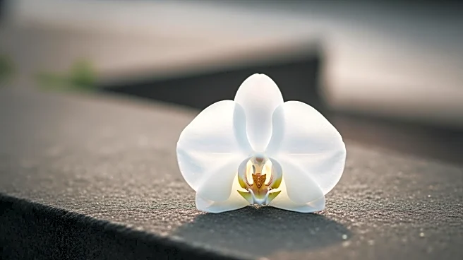 Former Senator Ben Sasse Announces Advanced Pancreatic Cancer Diagnosis