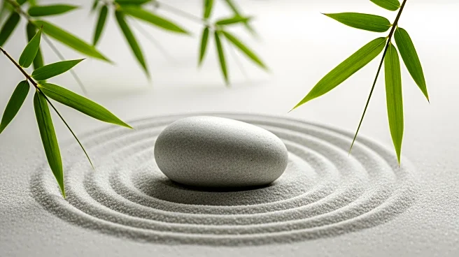 Japan's Tranquwell Launches Wellness Travel Service Amid Rising Demand