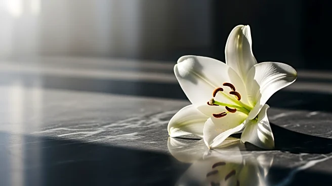 Joseph Michael Beal Passes Away After Battle with Cancer