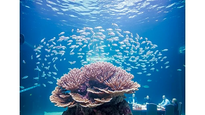 Greater Cleveland Aquarium Celebrates 3 Millionth Visitor with Special Gifts