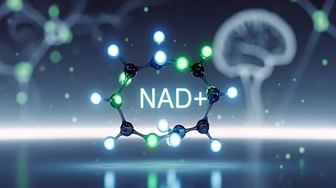 Researchers Discover Potential Alzheimer's Reversal in Mice Through NAD+ Restoration