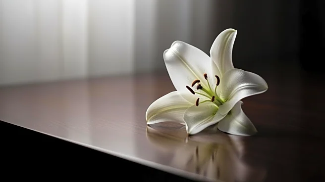 Former Senator Ben Sasse Announces Pancreatic Cancer Diagnosis, Describes It as a 'Death Sentence'