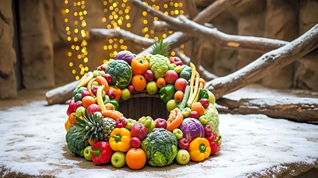 Budapest Zoo Celebrates Christmas with Special Treats for Animals