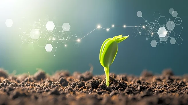 Agrosavia Joins China-LAC Food Innovation Hub to Enhance Agricultural Research