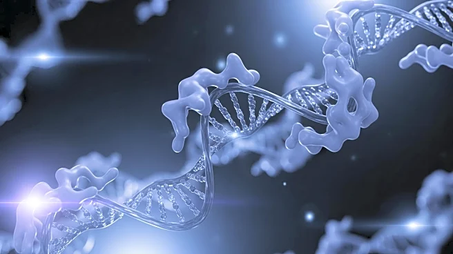 Study Reveals RNA-Binding Proteins' Role in Enhancing Immunotherapy for Ovarian Cancer