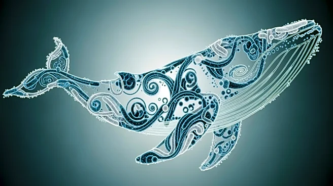 Study Reveals Complex Respiratory Bacteriome in Blue Whales with Implications for Health Monitoring