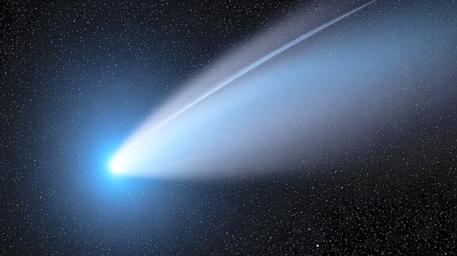 2025: A Year of Remarkable Comet Discoveries