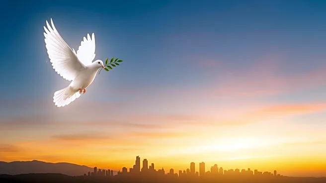 Pope Leo XIV Highlights Gaza's Plight in First Christmas Homily, Calls for Global Peace