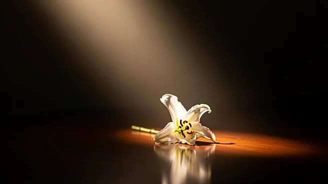 Imani Dia Smith, Former 'Lion King' Star, Dies at 25; Boyfriend Charged