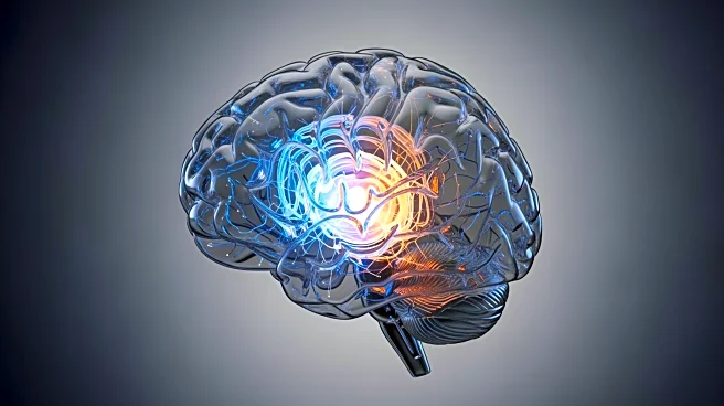 New Study Reveals ADHD Medications Affect Brain Differently Than Thought