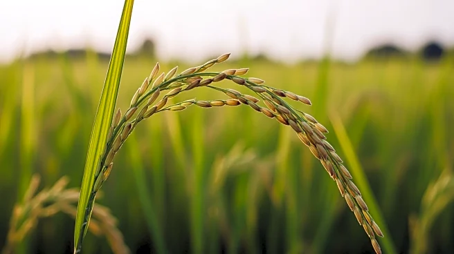 Chia Tai Continues Support for Agricultural Education with Scholarships at Kasetsart University