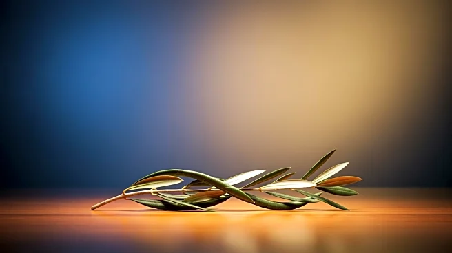 Honduras Election Signals Strengthened Ties with Israel Amid Political Shifts