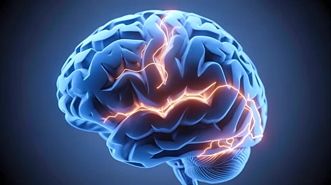 New Study Reveals ADHD Medications Affect Sleep-Related Brain Regions, Not Attention Networks