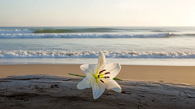 Funeral Held for French National Killed in Bondi Beach Shooting
