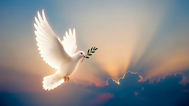 Pope Leo Calls for Global Peace in Christmas Address