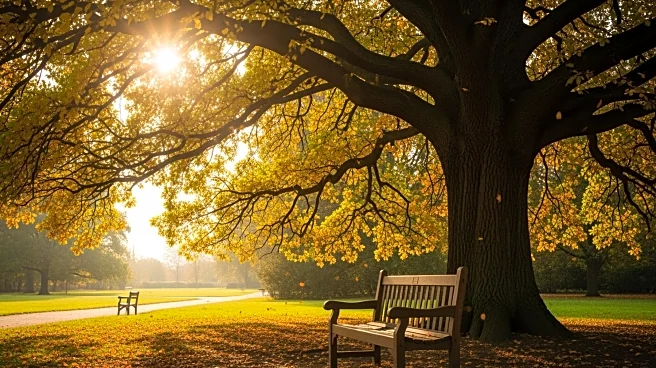 Salvatore LoPresti Passes Away at 83, Leaving a Legacy in Glenview