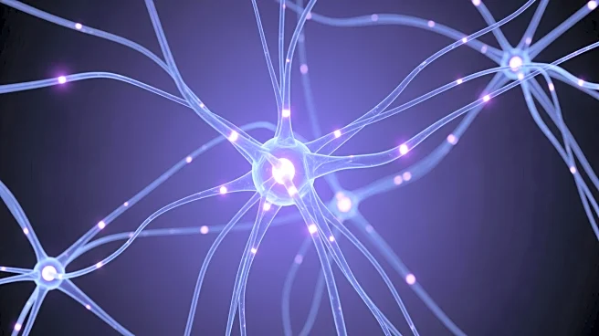 Researchers Use Spatial Biology Techniques to Uncover Slower Development of Human Brain Compared to Primates