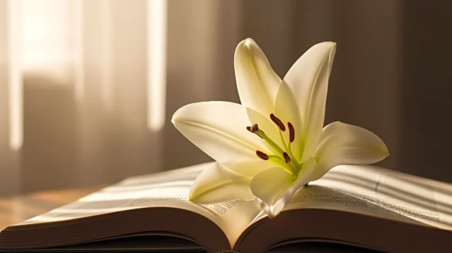 Cecelia Carol Mills' Legacy Celebrated in Obituary