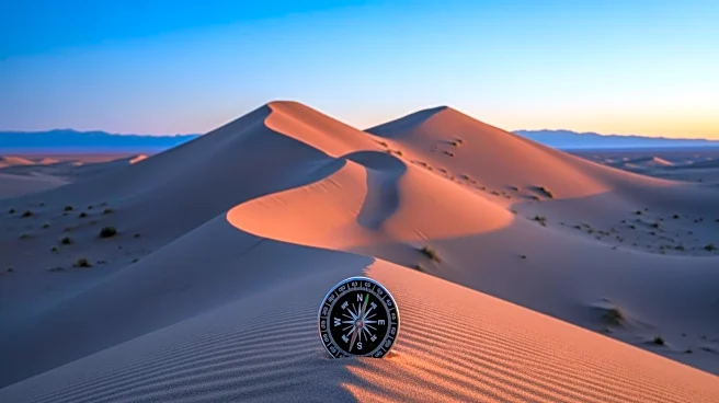 UAE Reaffirms Support for Saudi Stability Efforts in Yemen Amid Rising Tensions