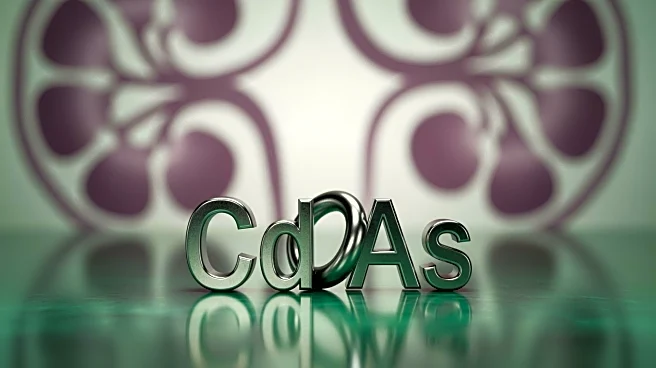 Study Reveals Combined Exposure to Cadmium and Arsenic Causes Kidney Damage at Low Levels