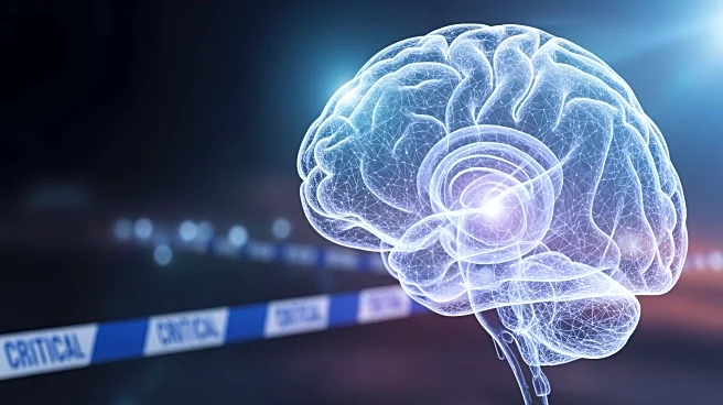 Study Reveals Slower Maturation of Human Brain Compared to Primates